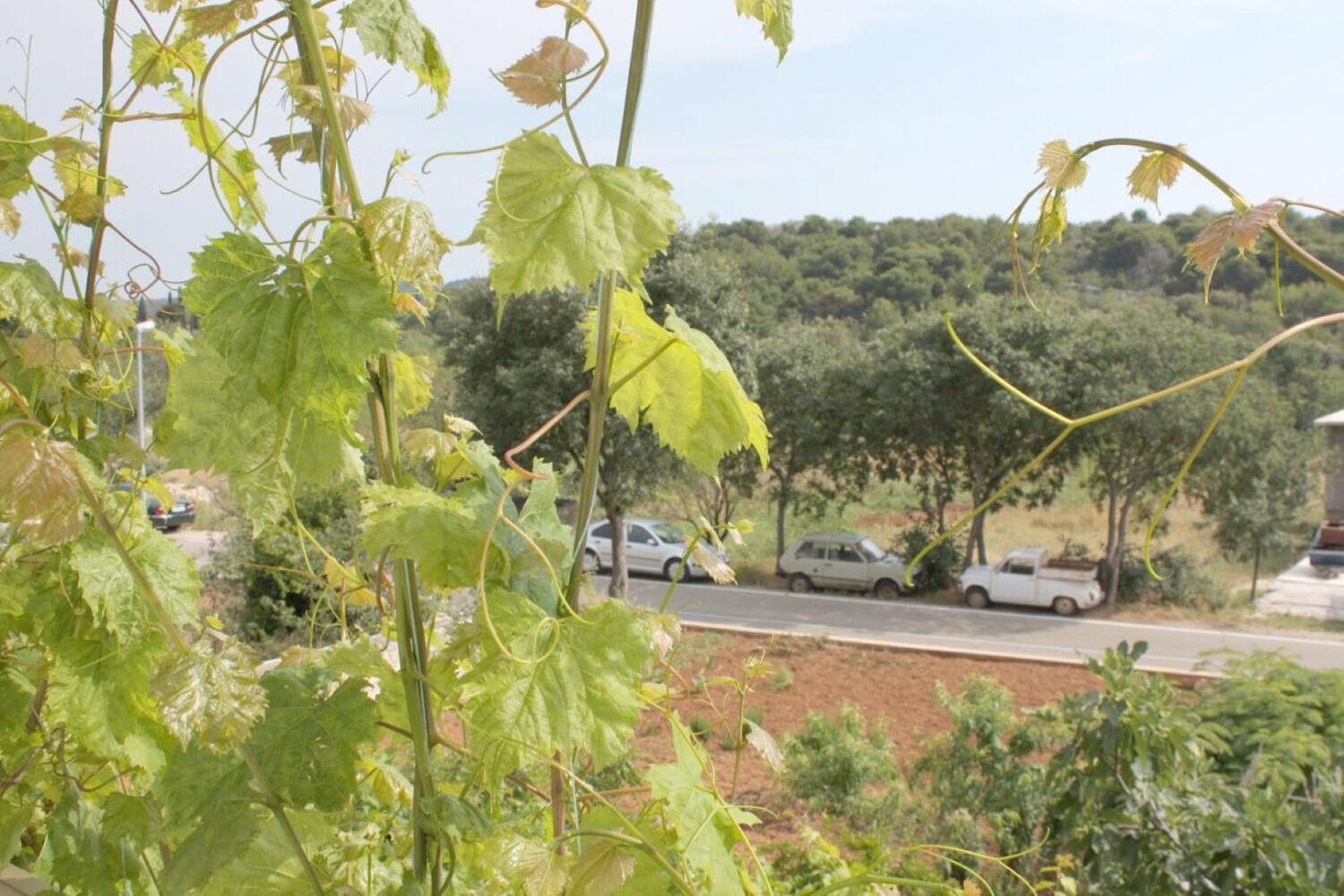 Apartments Slavica - Free Parking Jezera Dış mekan fotoğraf